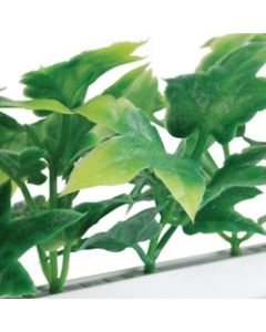 Dalebrook Green Ivy Divider - (12 Pack)