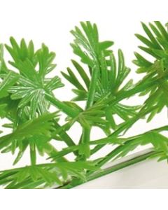 Dalebrook Parsley Divider - (12 Pack)