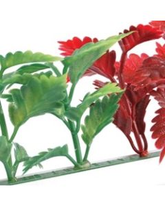 Dalebrook Red & Green Coleus Divider - (12 Pack)