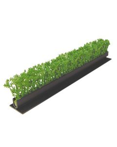 Dalebrook Green Cypress Divider - (12 Pack)