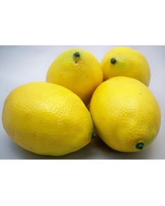 Loose Lemon For Display (Pack of 12) 