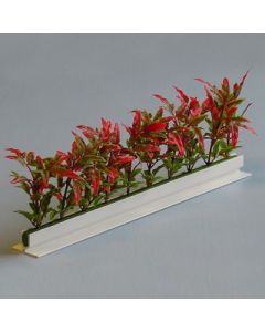 Dalebrook Red / Green New England Garnish Divider - (12 Pack)