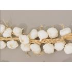 Garlic String Display Garland