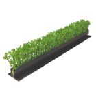 Dalebrook Green Cypress Divider - (12 Pack)