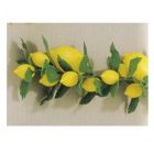 Lemon Display Garland