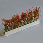 Dalebrook Red / Green New England Garnish Divider - (12 Pack)