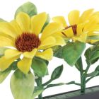 Dalebrook Sunflower Divider - (12 Pack)