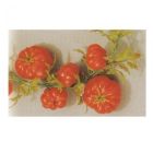 Tomato Display Garland