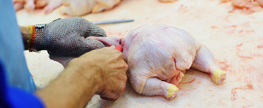 deboning a chicken